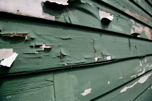 Best Garage Cleanout  in Olcott, NY