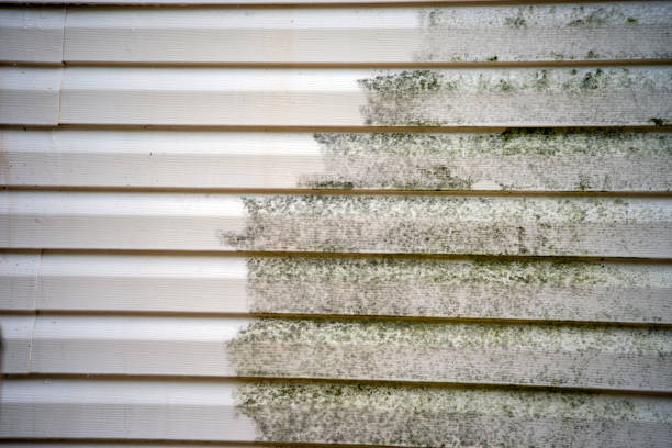 Best Carpet Removal and Disposal  in Olcott, NY