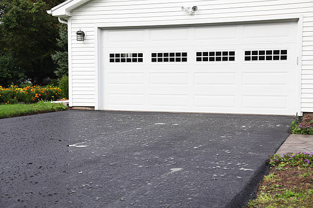 Best Shed Removal  in Olcott, NY