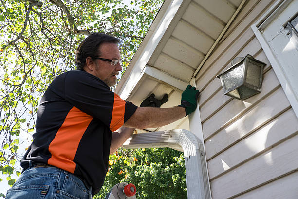 Shed Removal in Olcott, NY